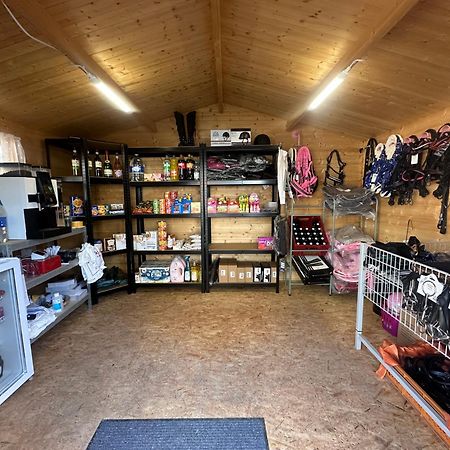 Fewo Im Reit- Und Ponyparadies Roos Halle  Eksteriør billede