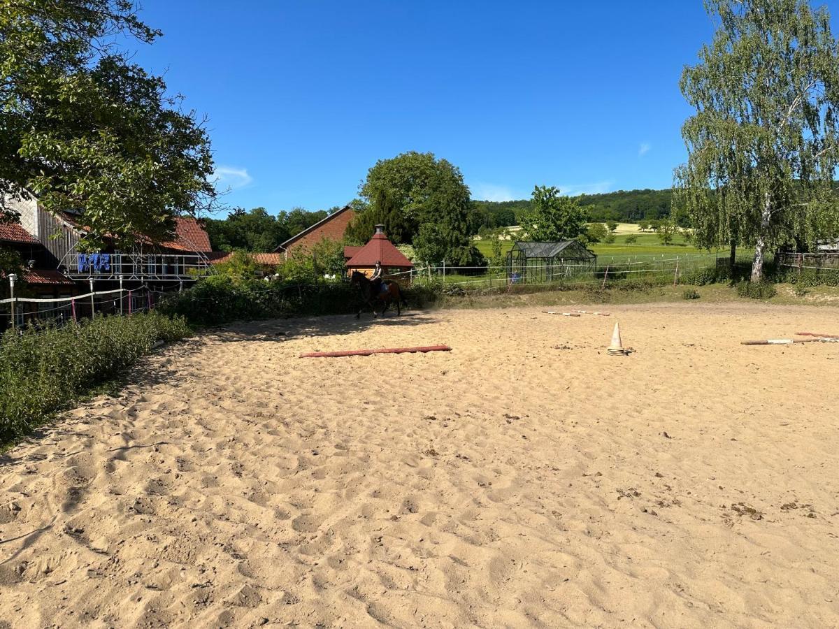 Fewo Im Reit- Und Ponyparadies Roos Halle  Eksteriør billede