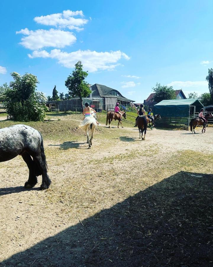 Fewo Im Reit- Und Ponyparadies Roos Halle  Eksteriør billede