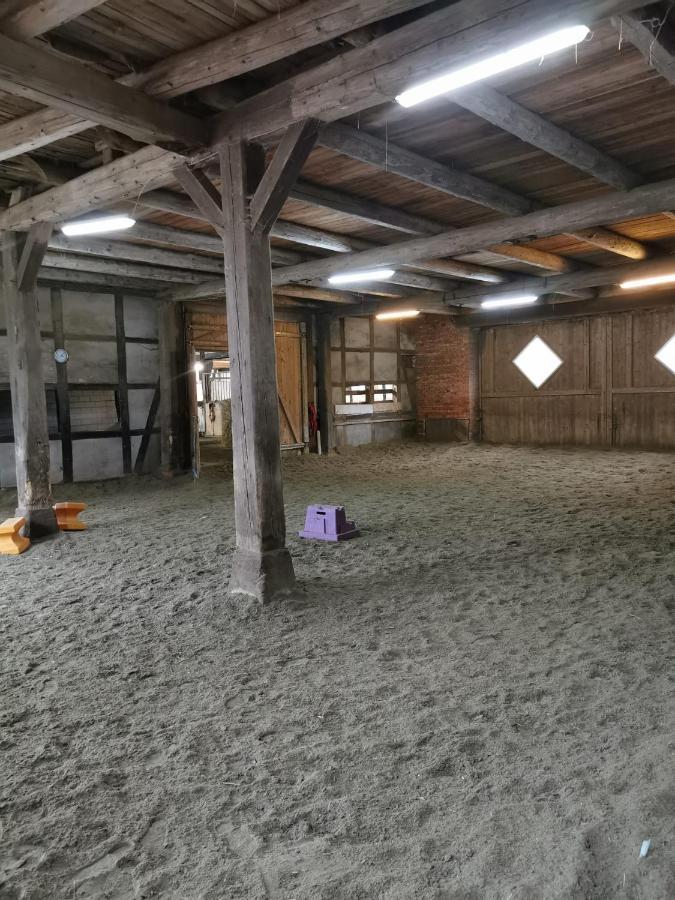 Fewo Im Reit- Und Ponyparadies Roos Halle  Eksteriør billede