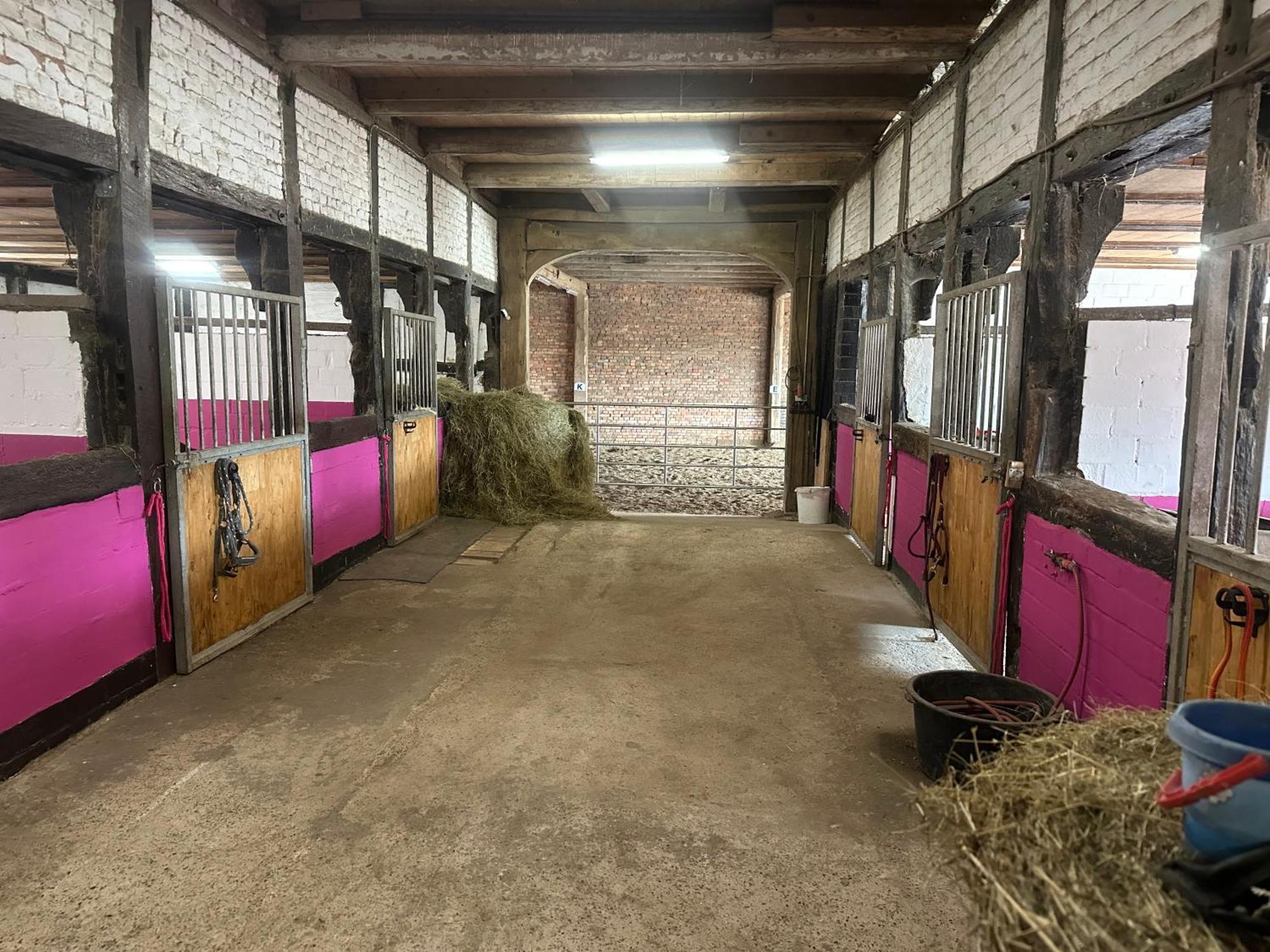 Fewo Im Reit- Und Ponyparadies Roos Halle  Eksteriør billede