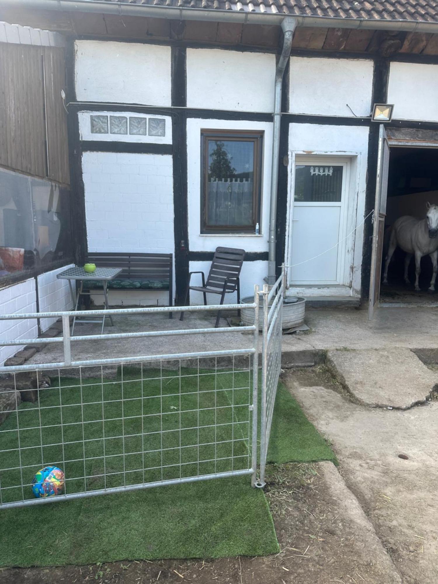 Fewo Im Reit- Und Ponyparadies Roos Halle  Eksteriør billede